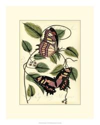 Petite Butterflies IV | Obraz na stenu