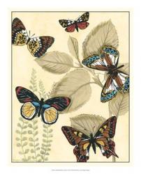 Graphic Butterflies in Nature I | Obraz na stenu