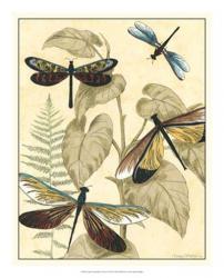 Graphic Dragonflies in Nature II | Obraz na stenu