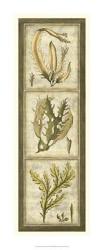 Exotic Seaweed Panel I | Obraz na stenu
