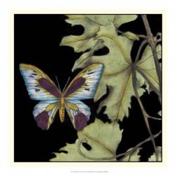 Butterfly on Vine I | Obraz na stenu