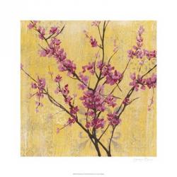 Fuchsia Blossoms I | Obraz na stenu