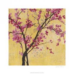 Fuchsia Blossoms II | Obraz na stenu