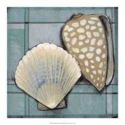 Seashell Sketch I | Obraz na stenu