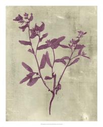 Impressions in Plum | Obraz na stenu