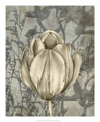 Tulip & Wildflowers I | Obraz na stenu