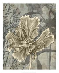 Tulip & Wildflowers II | Obraz na stenu