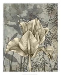 Tulip & Wildflowers IV | Obraz na stenu