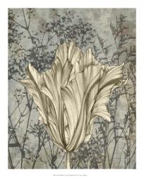 Tulip & Wildflowers V | Obraz na stenu