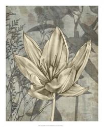 Tulip & Wildflowers VI | Obraz na stenu