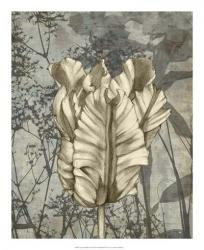 Tulip & Wildflowers VII | Obraz na stenu