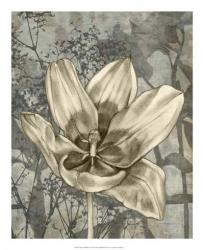 Tulip & Wildflowers VIII | Obraz na stenu