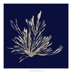 Seaweed on Navy III | Obraz na stenu