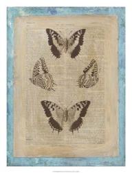 Bookplate Butterflies II | Obraz na stenu