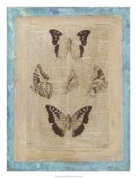 Bookplate Butterflies IV | Obraz na stenu