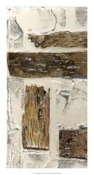 Birch Bark Abstract I | Obraz na stenu