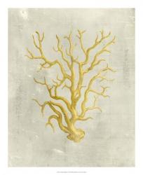 Coral in Mustard | Obraz na stenu