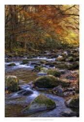 Autumn on Little River | Obraz na stenu