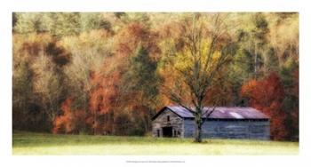 Waiting For the Harvest | Obraz na stenu