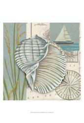 Seaside Shell I | Obraz na stenu