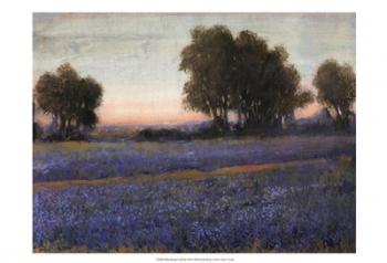 Blue Bonnet Field II | Obraz na stenu