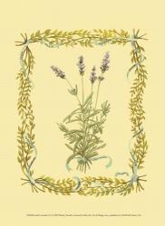 Small Lavender | Obraz na stenu