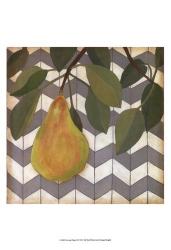 Fruit and Pattern II | Obraz na stenu