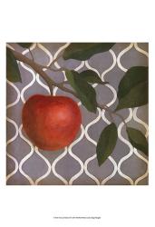 Fruit and Pattern III | Obraz na stenu