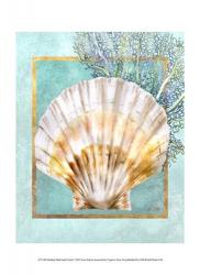 Scallop Shell and Coral | Obraz na stenu
