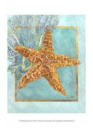 Starfish and Coral | Obraz na stenu
