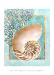Nautilus Shell and Coral | Obraz na stenu