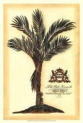 British Colonial Palm IV | Obraz na stenu