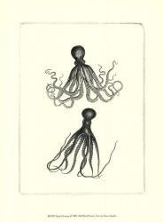 Sepia Octopus | Obraz na stenu