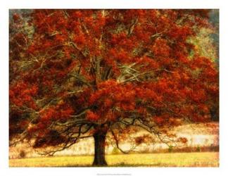 Autumn Oak I | Obraz na stenu