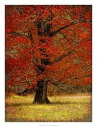 Autumn Oak II | Obraz na stenu