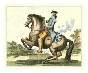 Equestrian Training IV | Obraz na stenu