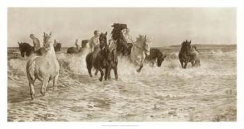 Horses Bathing | Obraz na stenu