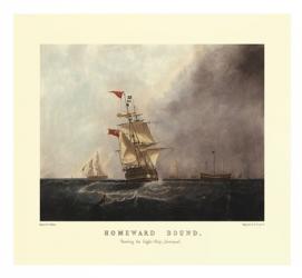 Homeward Bound | Obraz na stenu