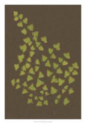 Ferns on Linen III | Obraz na stenu