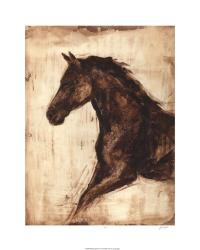 Weathered Equestrian I | Obraz na stenu