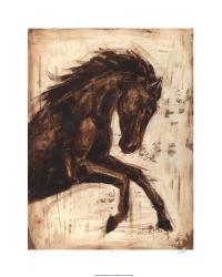 Weathered Equestrian II | Obraz na stenu