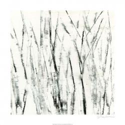 Birches I | Obraz na stenu