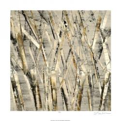 Birches V | Obraz na stenu