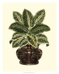 Lush Foliage in Urn II | Obraz na stenu
