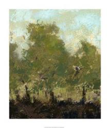 Meadow Abstract I | Obraz na stenu
