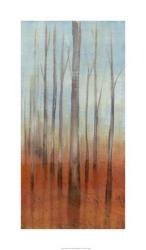 Birch Forest II | Obraz na stenu