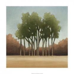 Stand of Trees I | Obraz na stenu