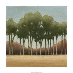 Stand of Trees II | Obraz na stenu