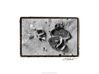 Sand Treasures II | Obraz na stenu