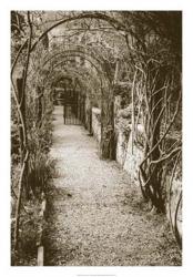 La Centinale, Italy | Obraz na stenu